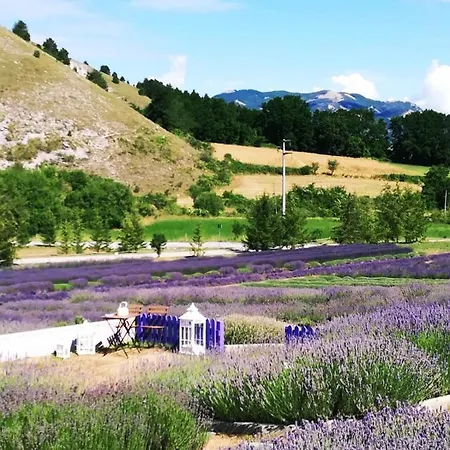 Appartement Con Vista *